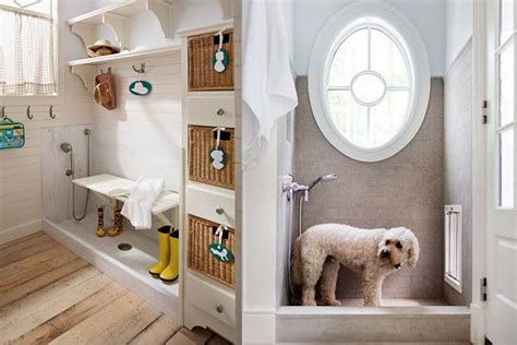 Importance of Designing a Pet-Friendly Home