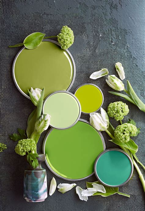 Nature-Inspired Color Palettes