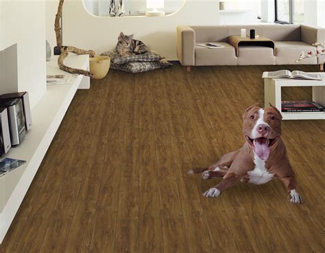 Pet-Friendly Flooring